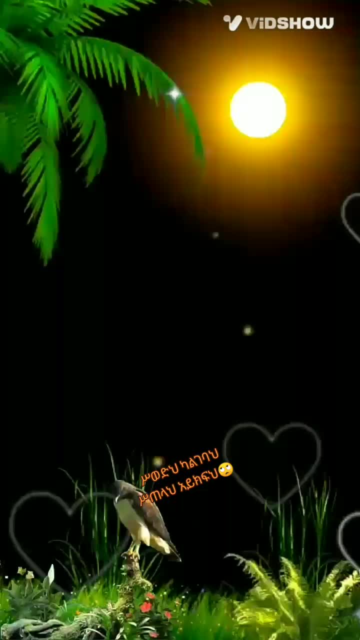 @ላጭር ህወት ረጅም ጉዞ✌️✌️