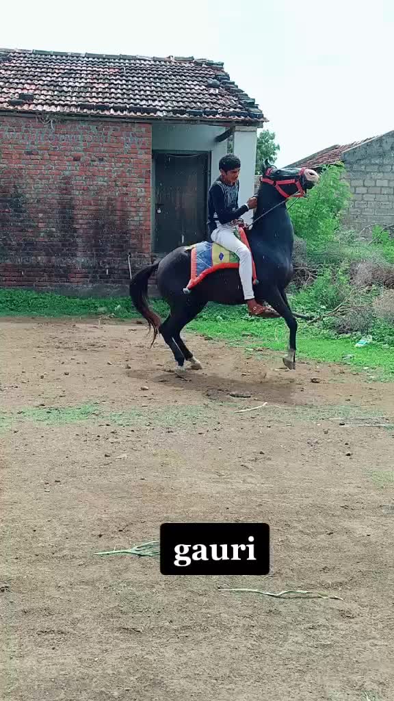 @🐴🐎નટખટ અષવાર 😉😁