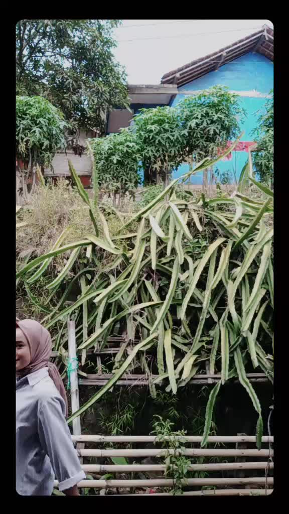 @Harhar01