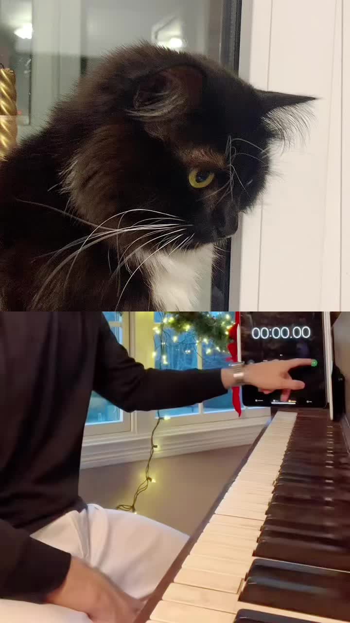 @КОТ МУЖИК 🐾