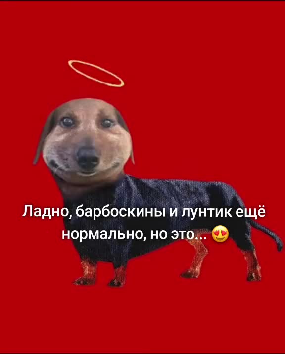 @🎠