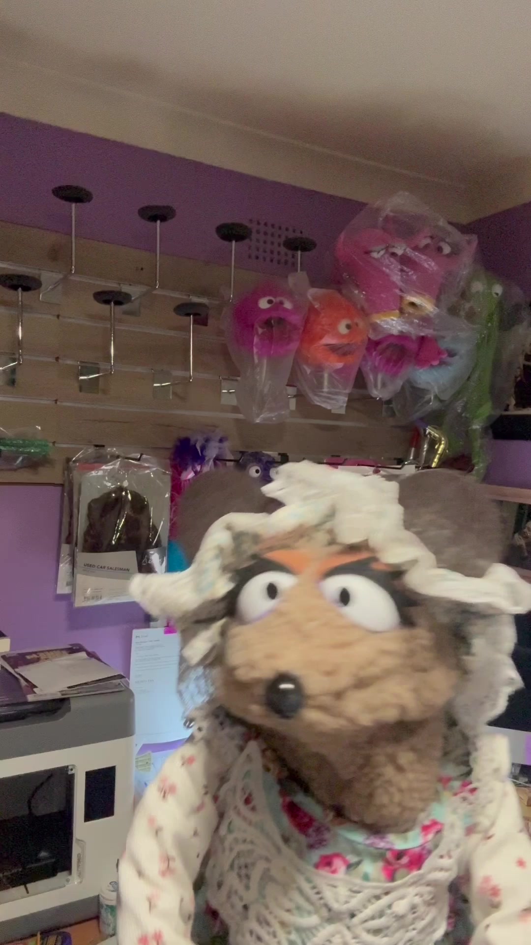 @The Doogles