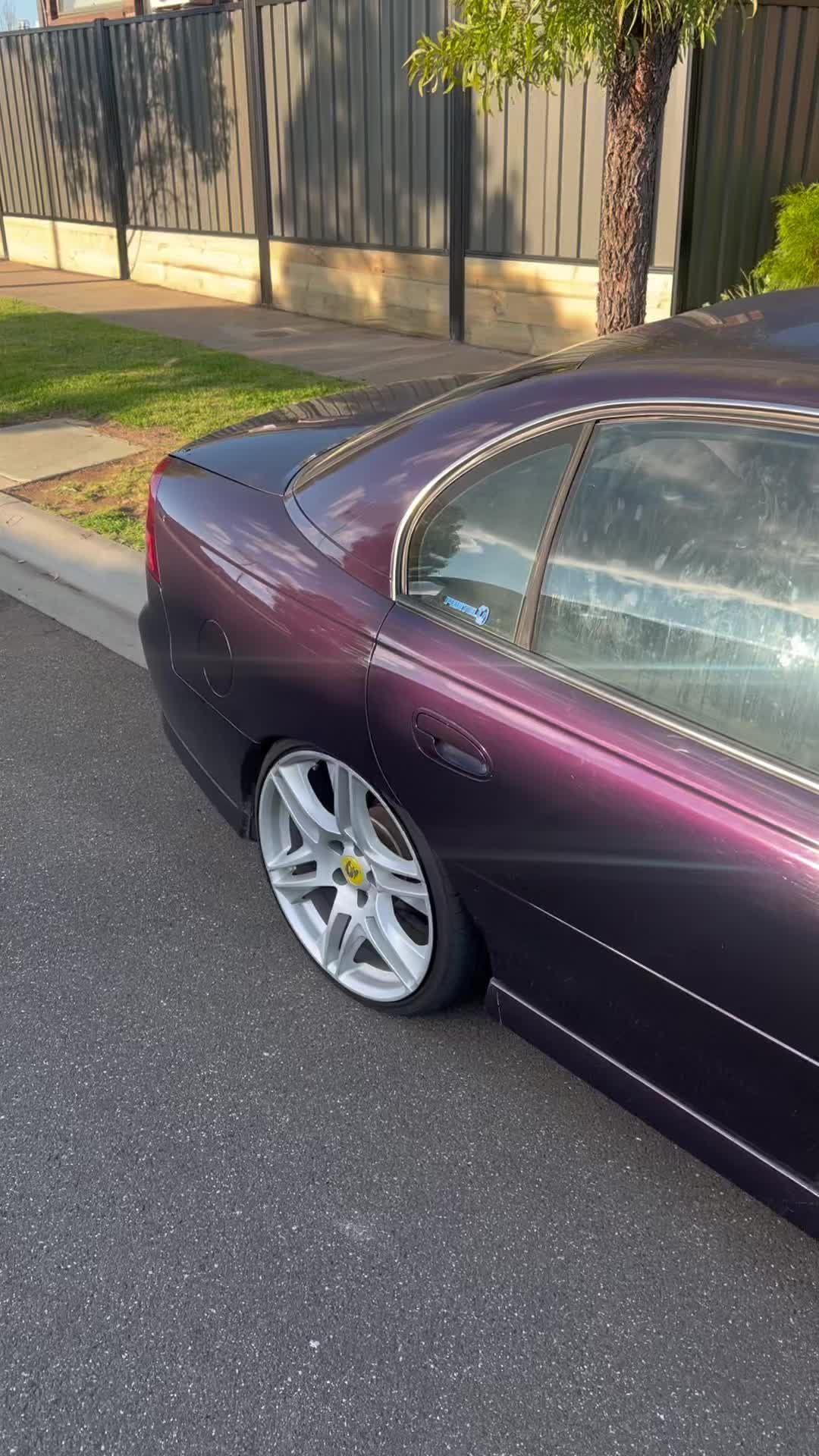 @Bagged.ve