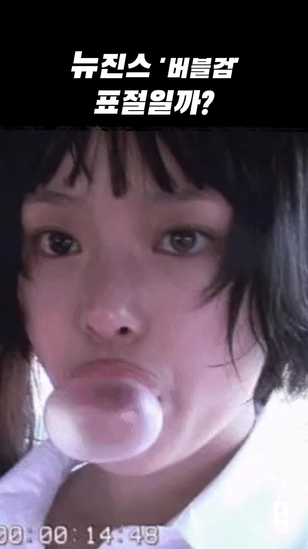 @국내연예갤러리