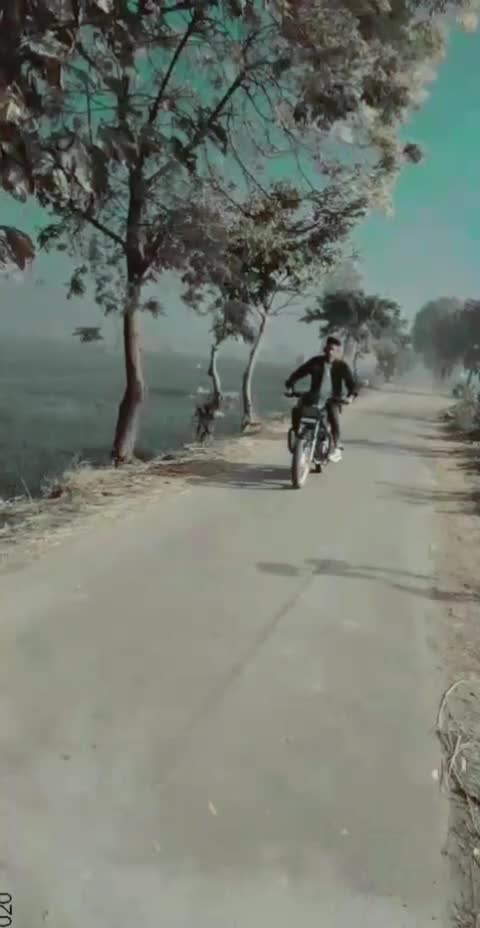 @vikash