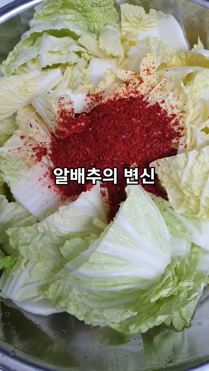 @로켓마미