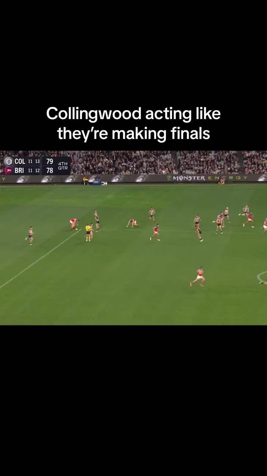 @Dom Sheed 🦅