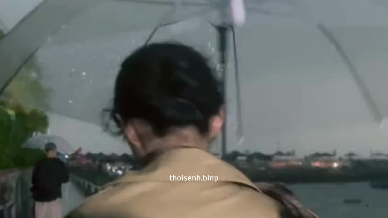 @hoa anh đào nở vào trời đông.