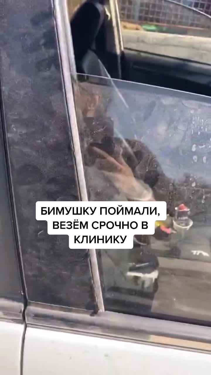 @Елена Белова