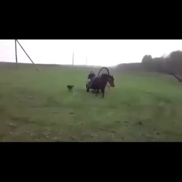 @user3505181969530