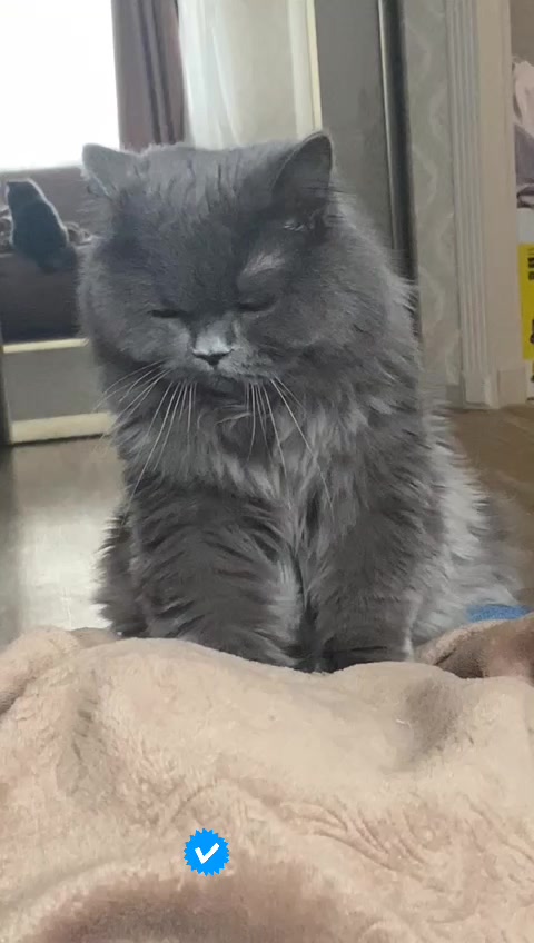 @🖤Ivan_636_🖤