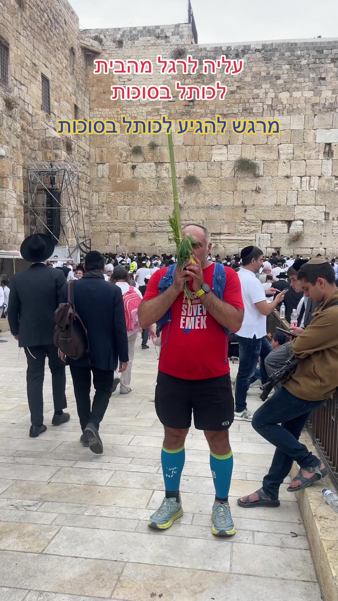 @Dan Run-Travel- הרץ מהטיקטוק