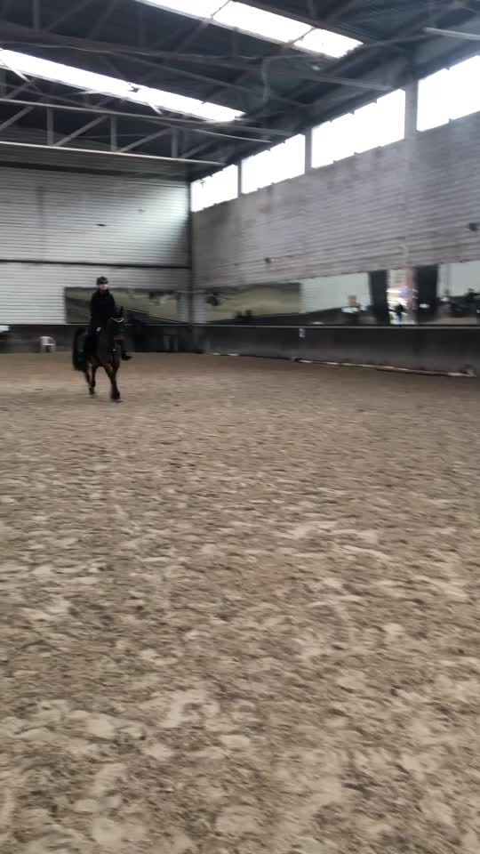 @Końska Grupa🐎