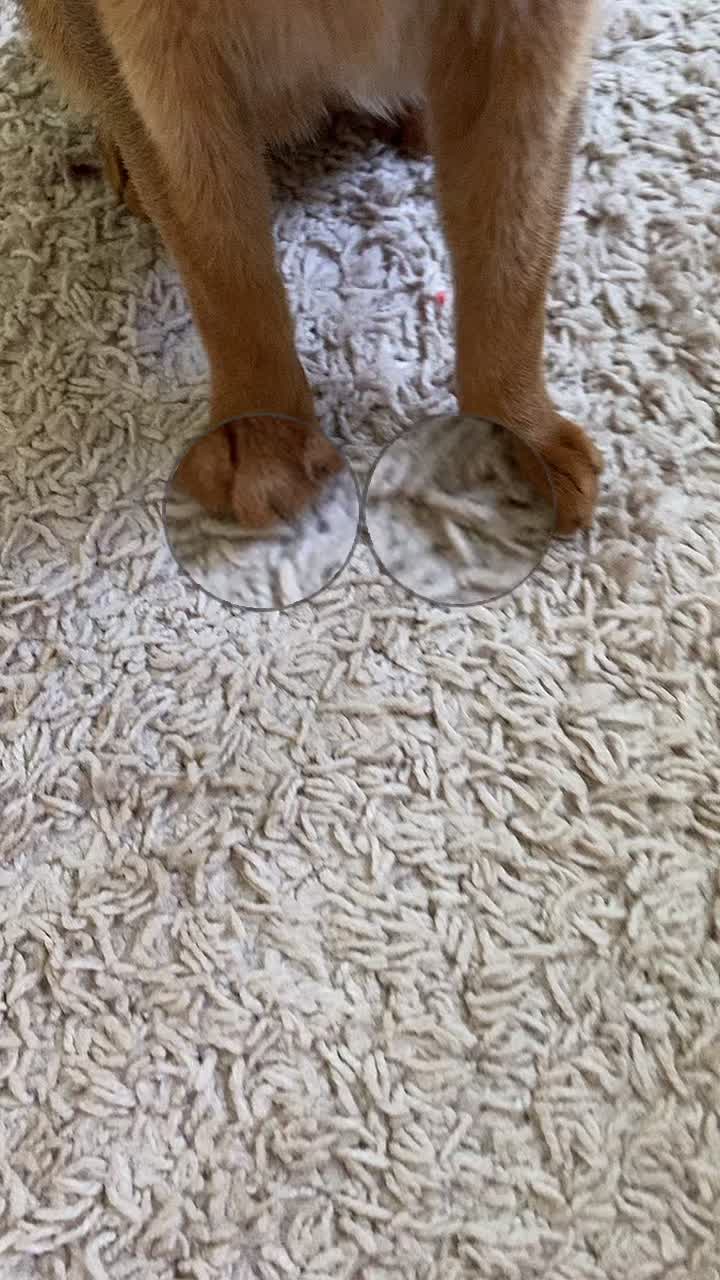 @Мария