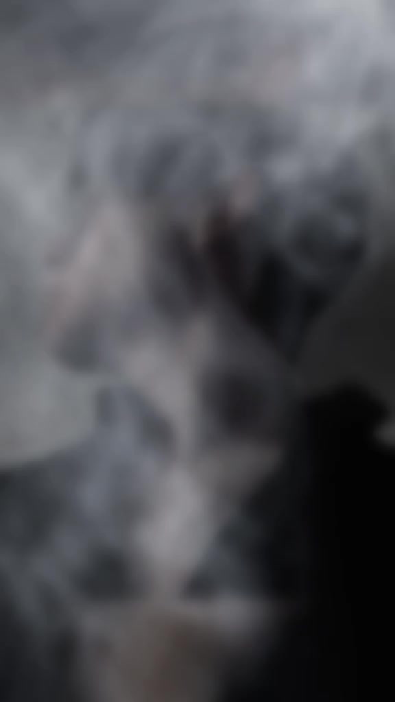 @{𝔹~𝔼~ⅅ~𝕀~ℝ}
