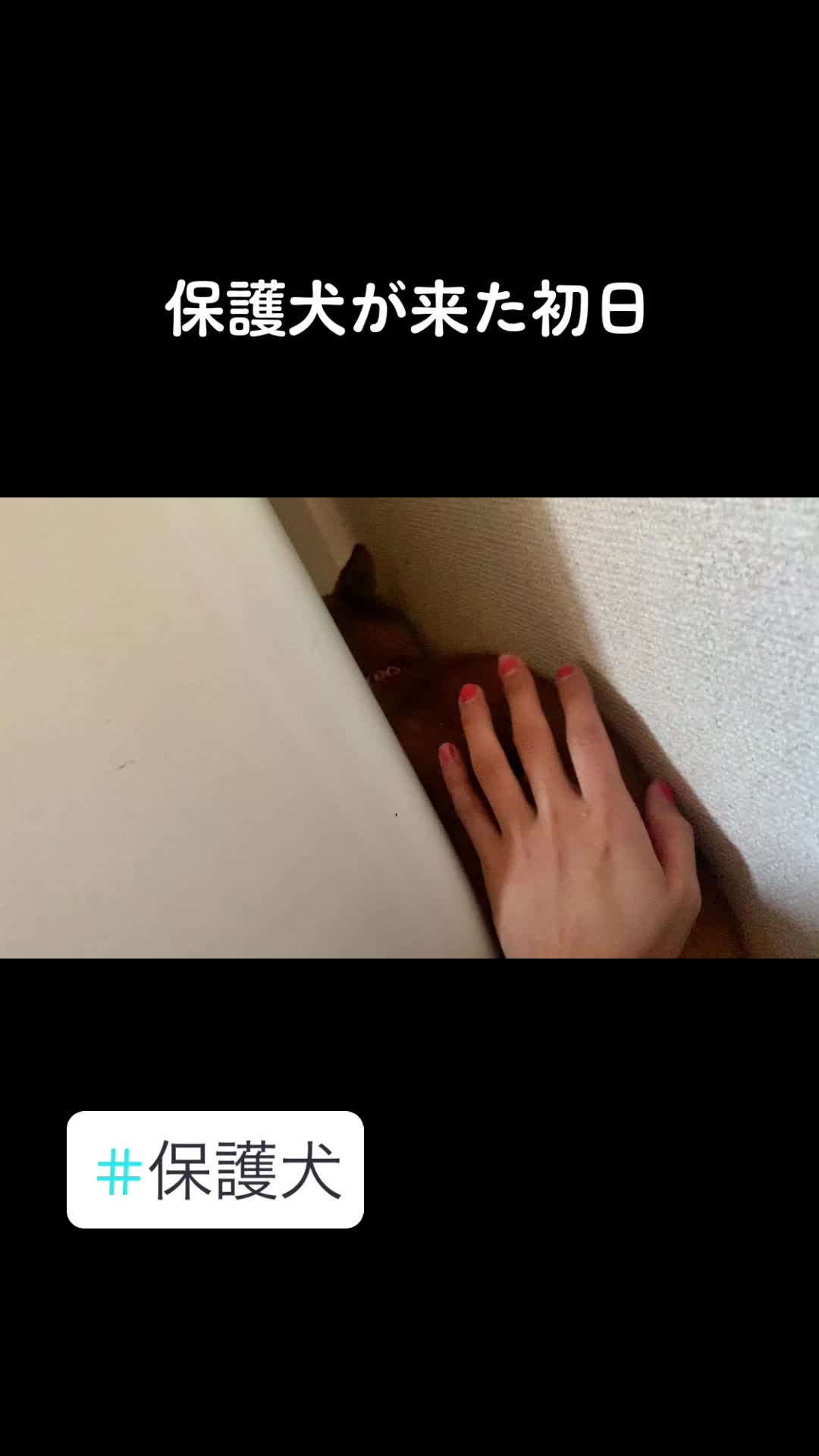 @NaNaえのきど🎸🐕5弦Bass