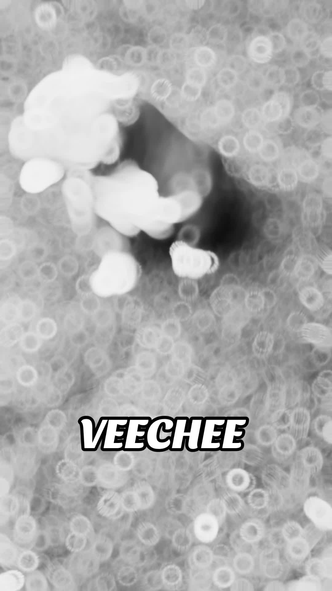 @Veechee