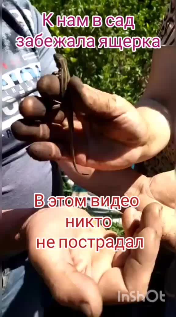 @А