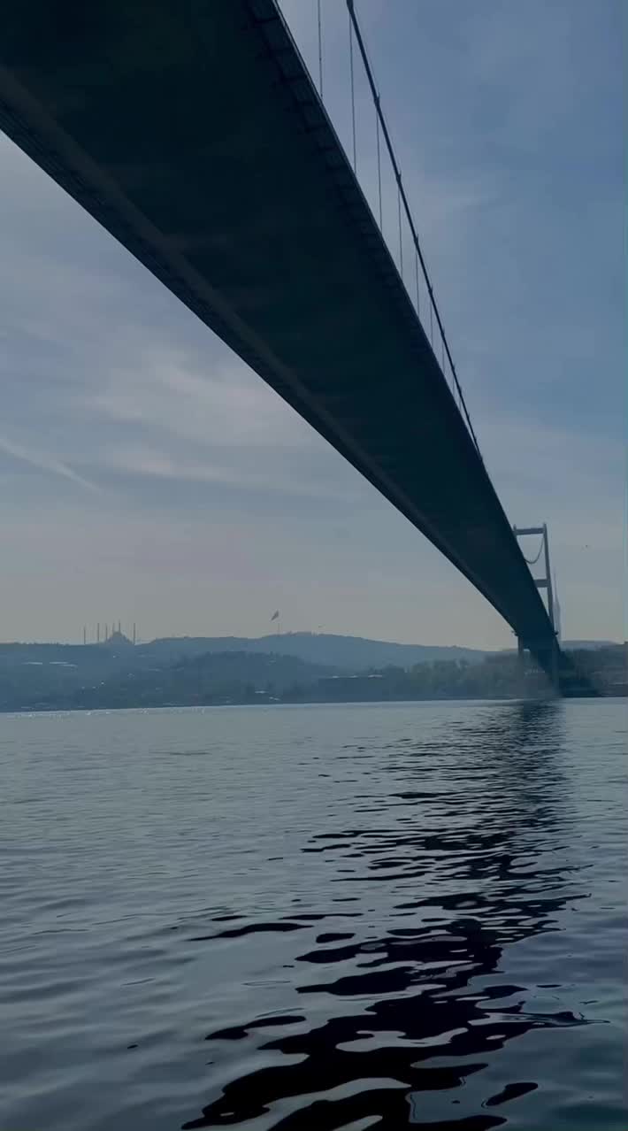@Aestheticvibes12