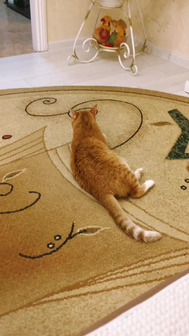@Татьяна