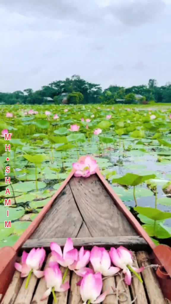 @Pervesurrahman