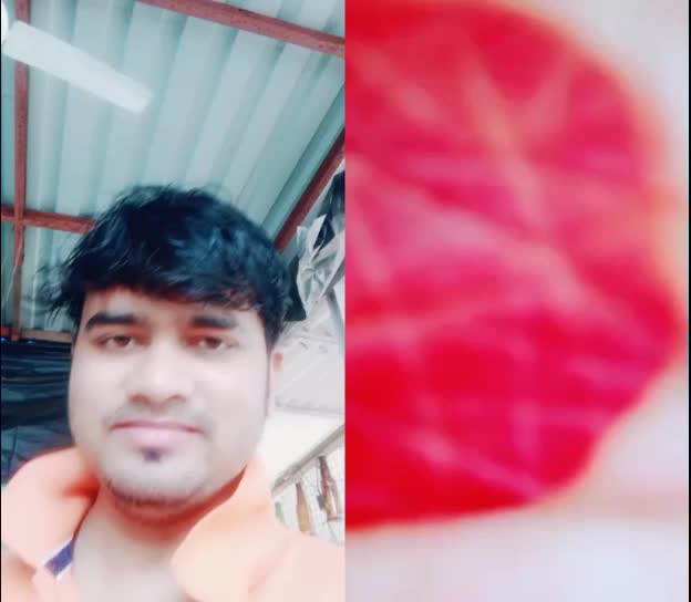 @Kusha Jena