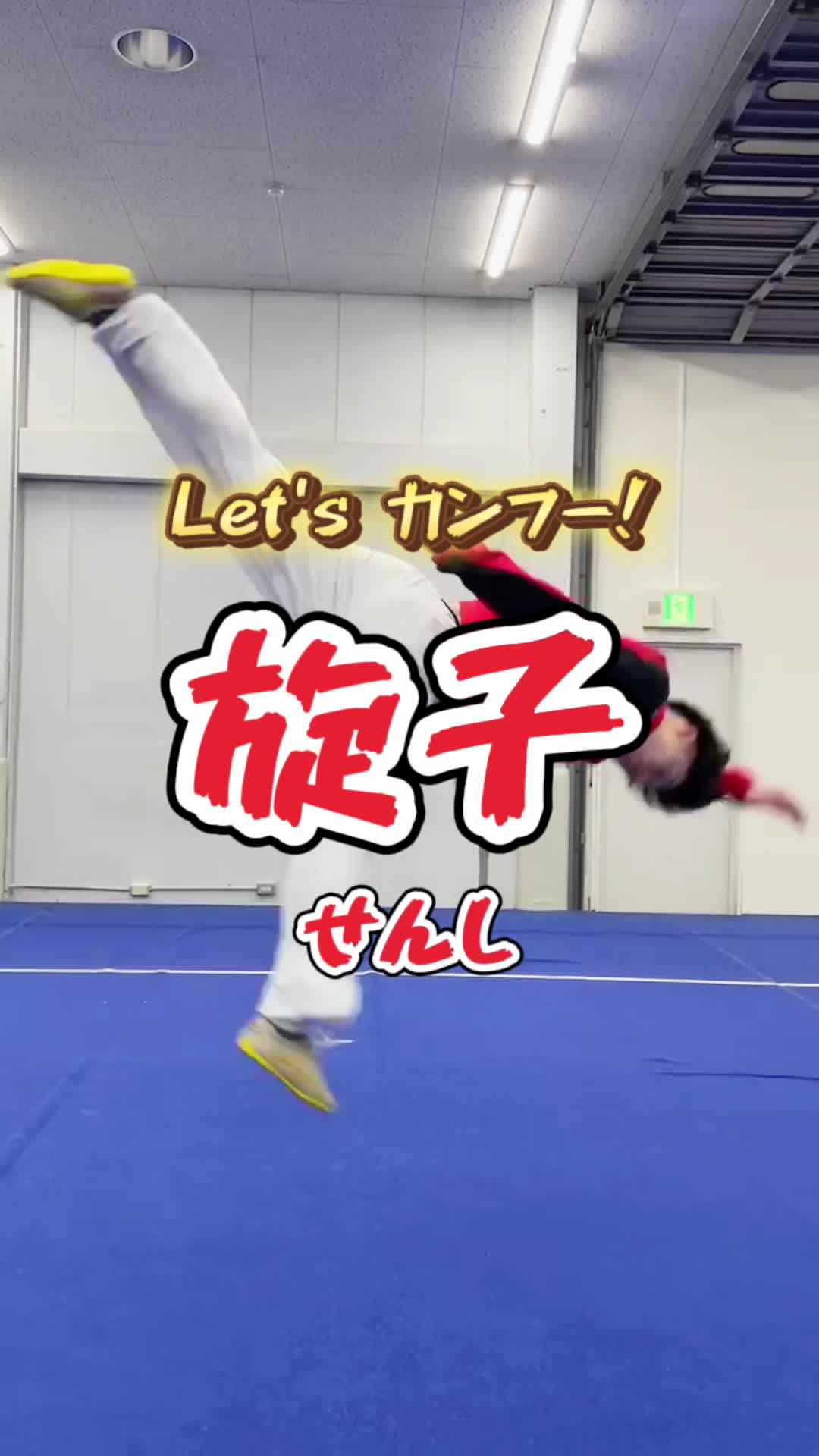 @大阪武術隊/カンフーチーム
