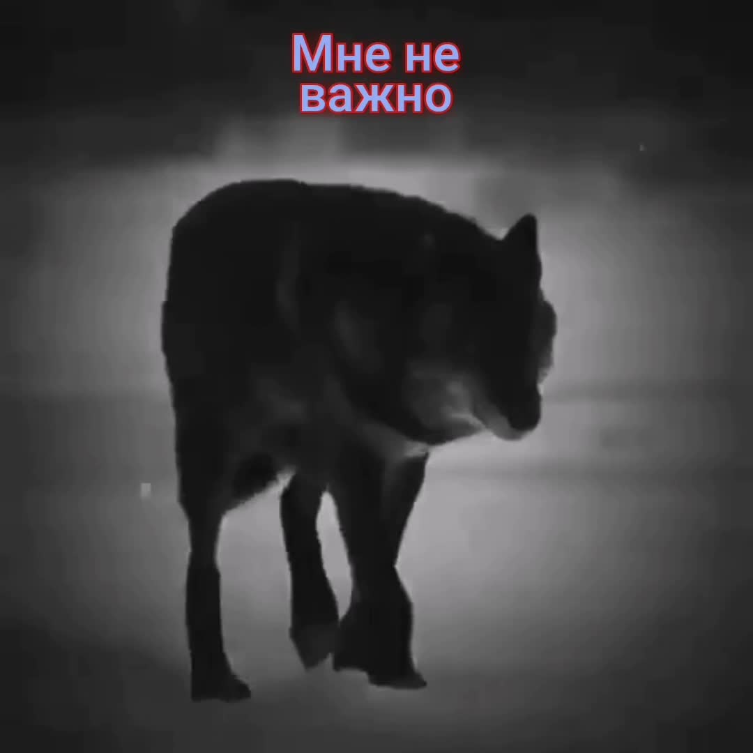 @✸Димон_Волк✸