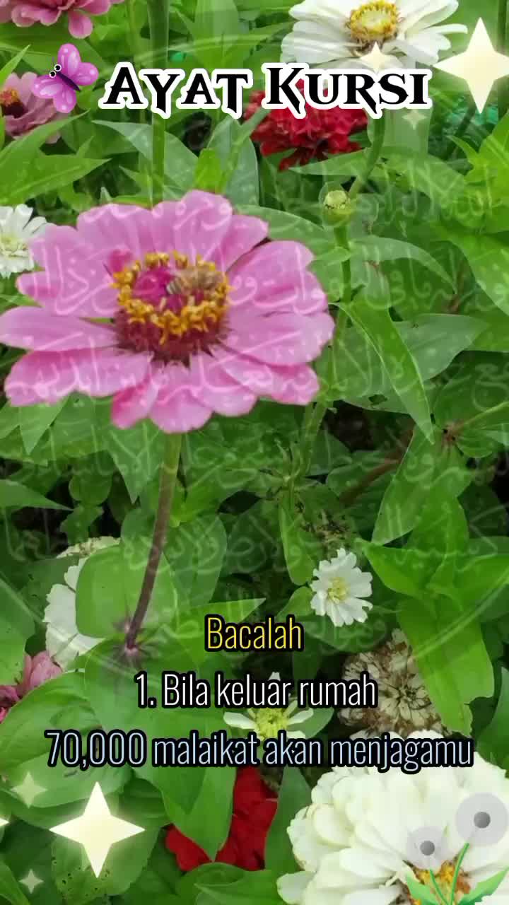 @๐ธ๊งโก๏ธโ๐๐๐7๐๊ง๐ธ