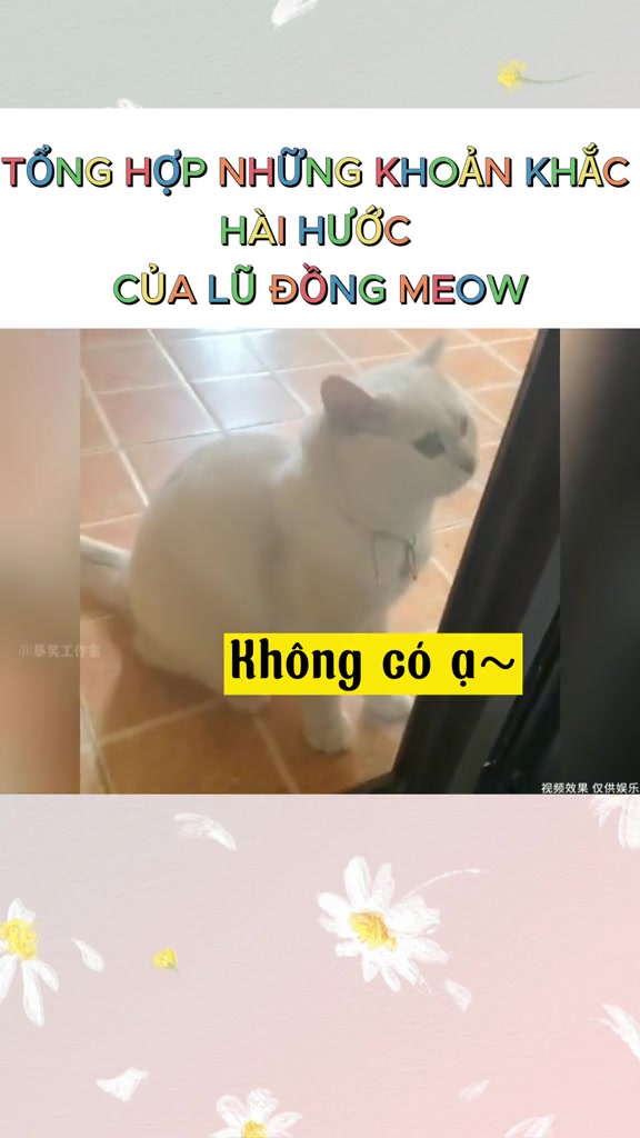 @Y&ecirc;u th&uacute; cưng