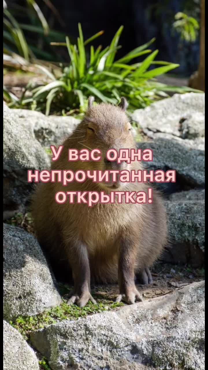 @GartonGatti