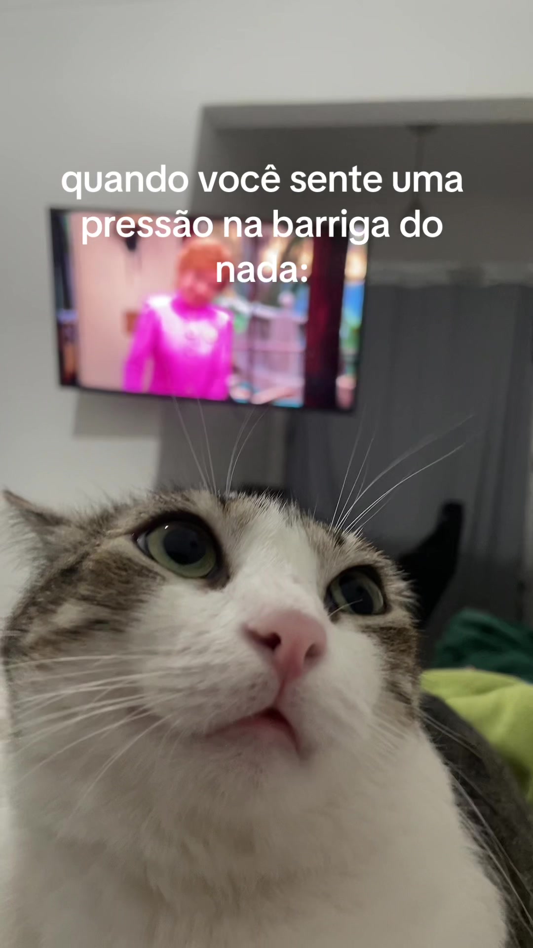 @Brisa&ensp;Maria&ensp;e&ensp;Antonio&ensp;Carlos