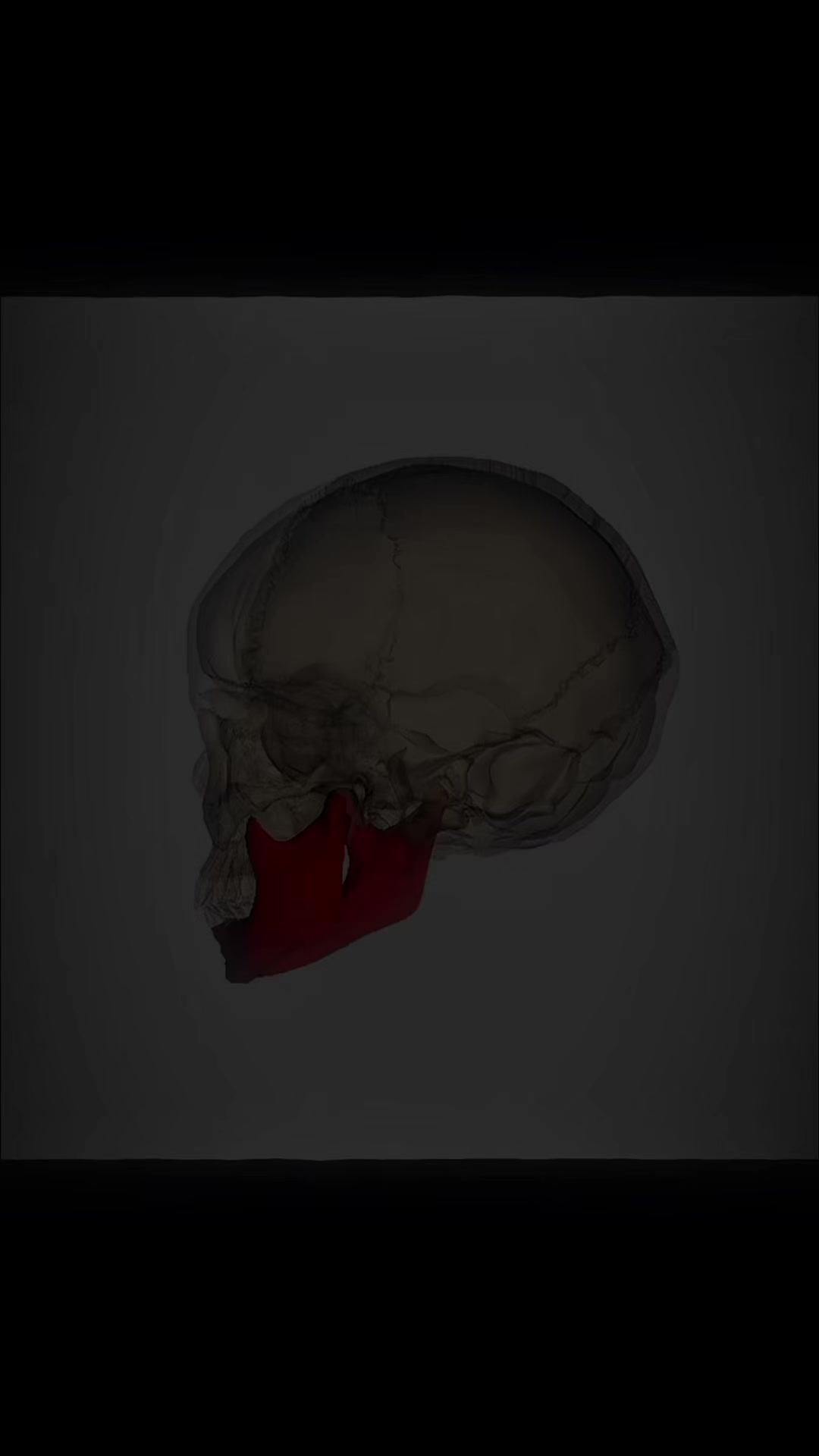 @🧬RPO🧬