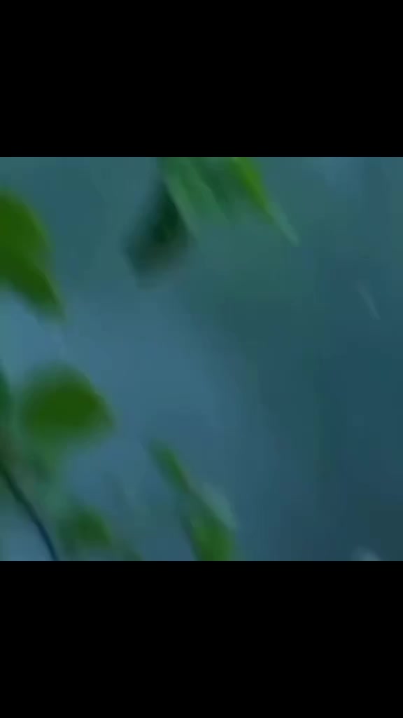 @گہری چُپ 🤫
