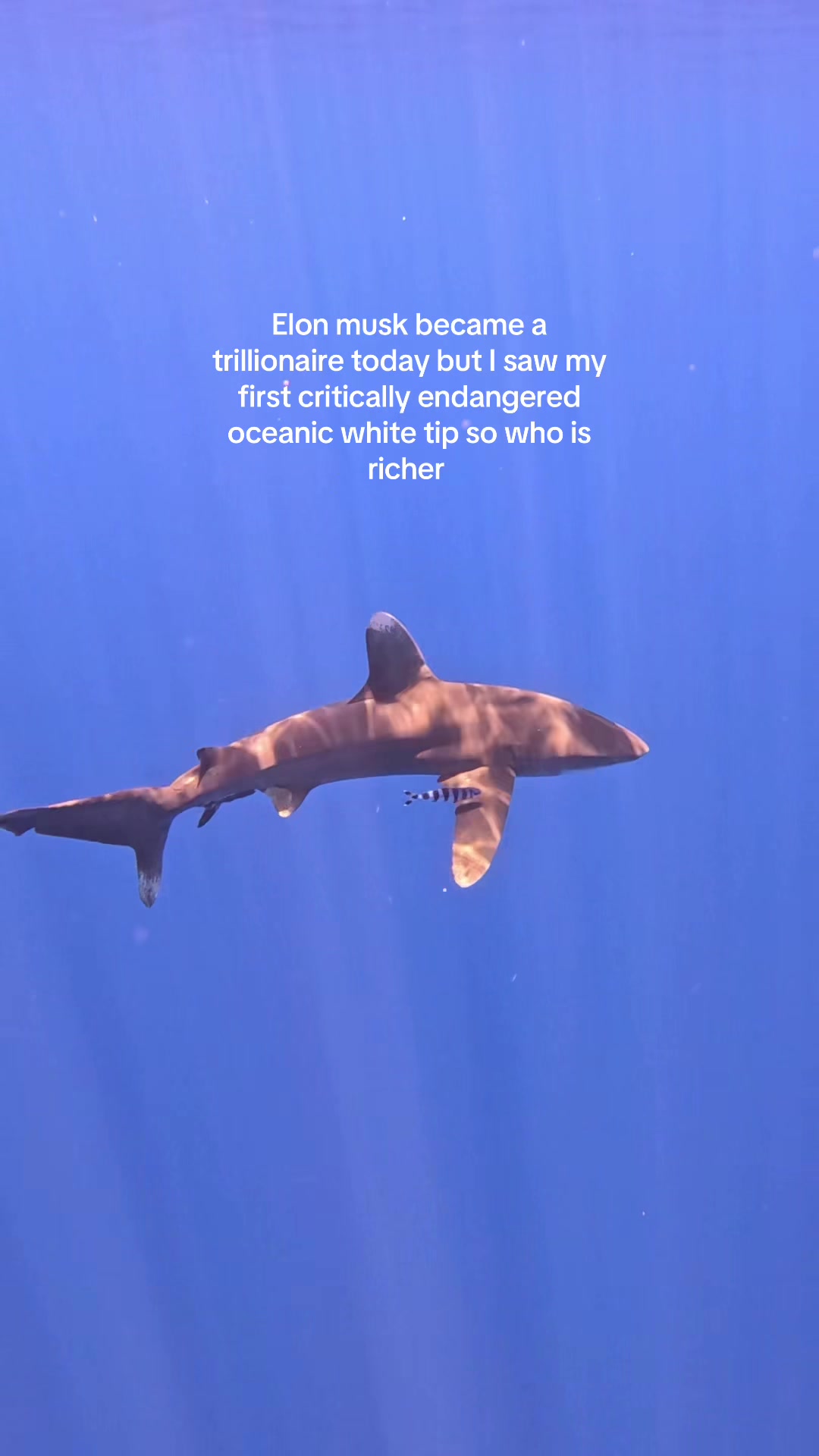@Carissa 🐋🩵🌊