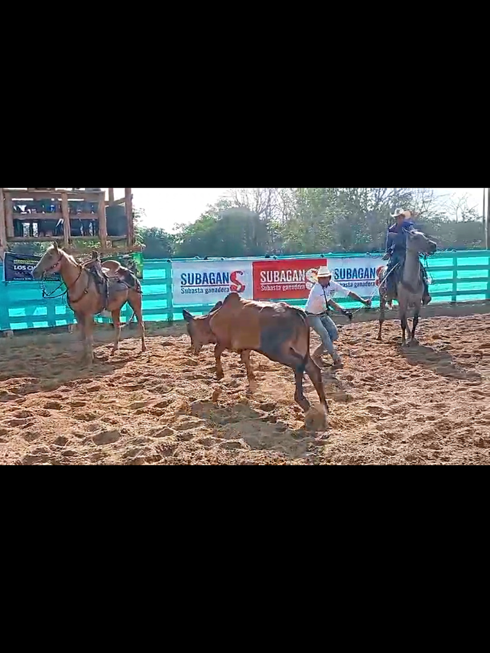 @Caballos y Reatas