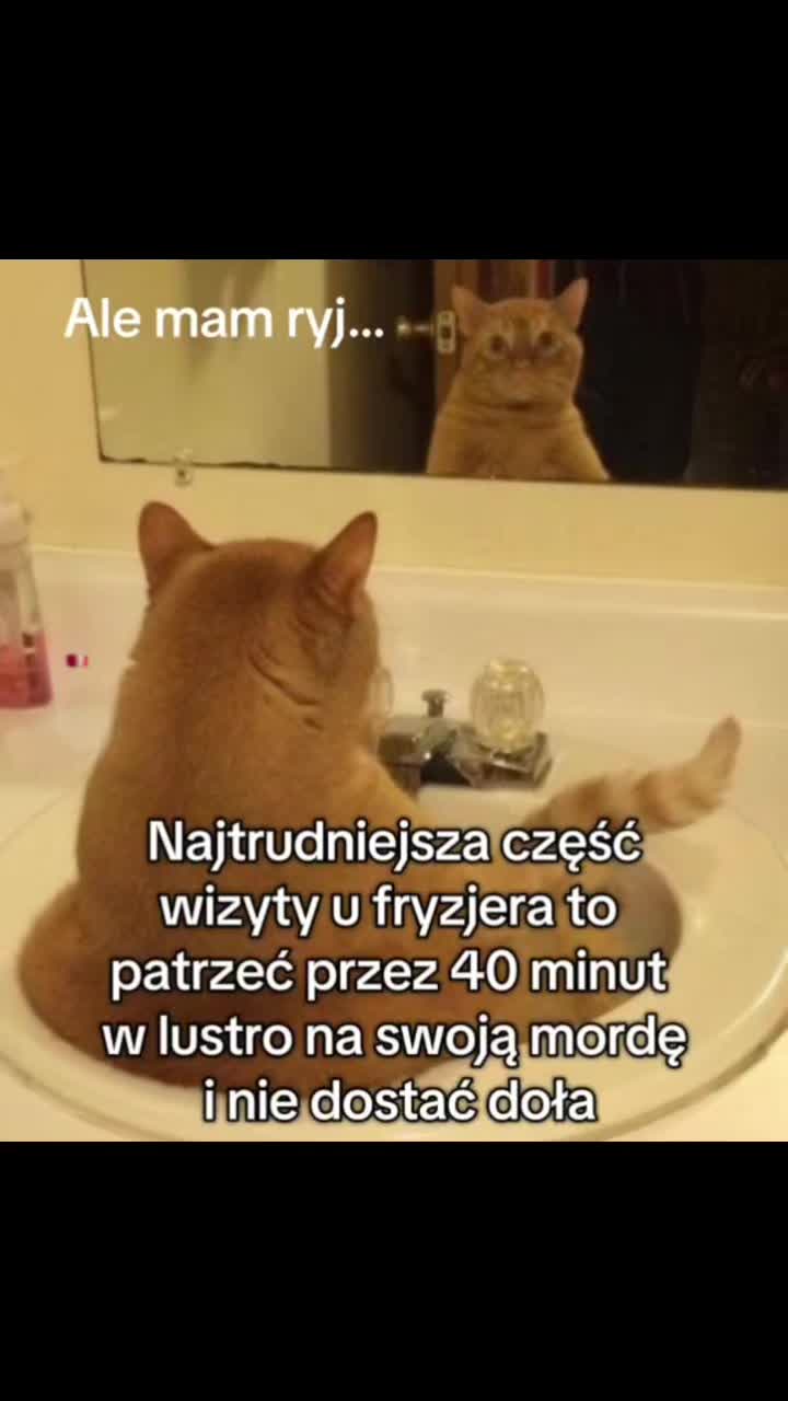 @𝓛𝓾𝓬𝔂𝓷𝓪ᥫ᭡.