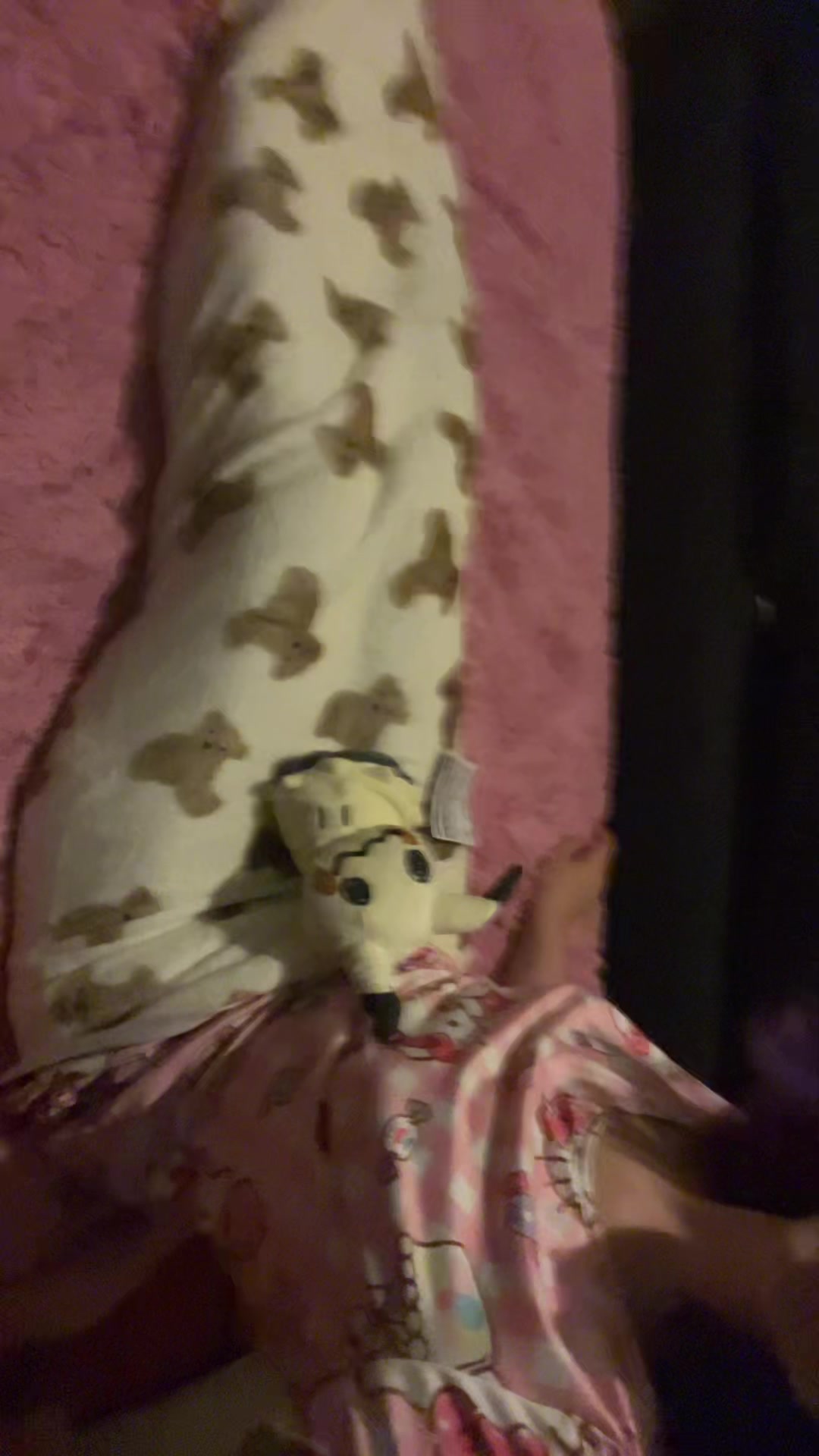 @_jamielee_own_pet_