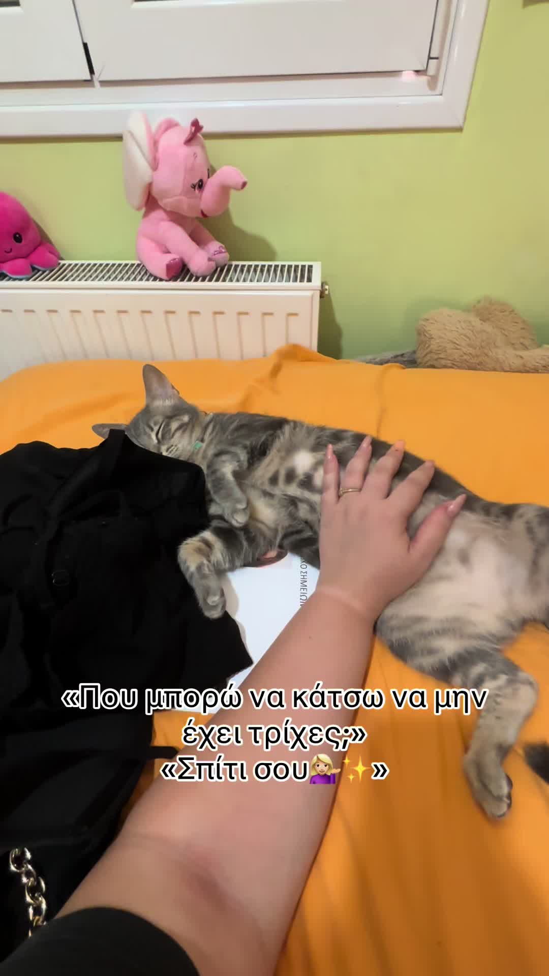 @𝒯𝒾𝓃𝒶