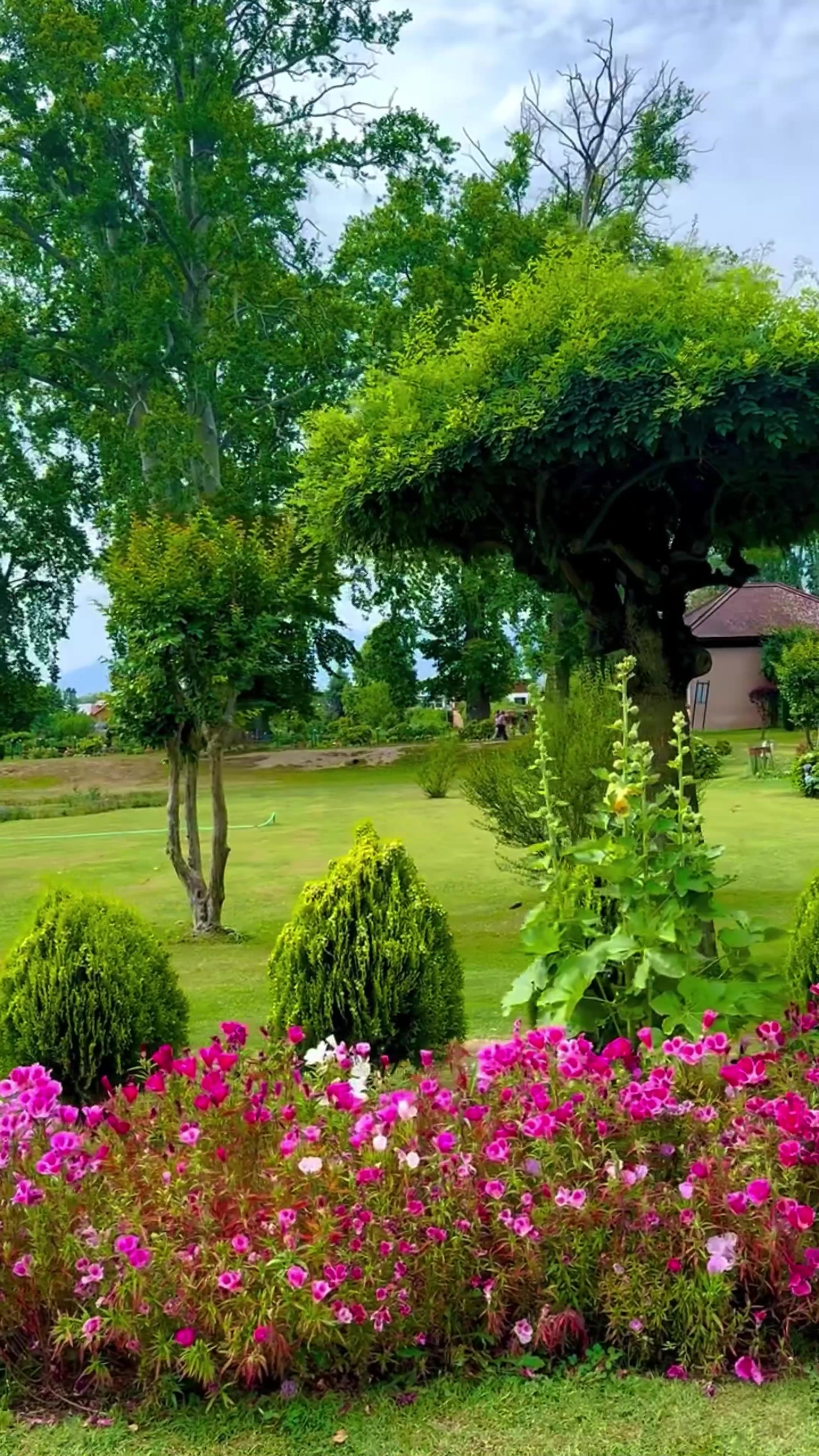 @World 🌍 beauty