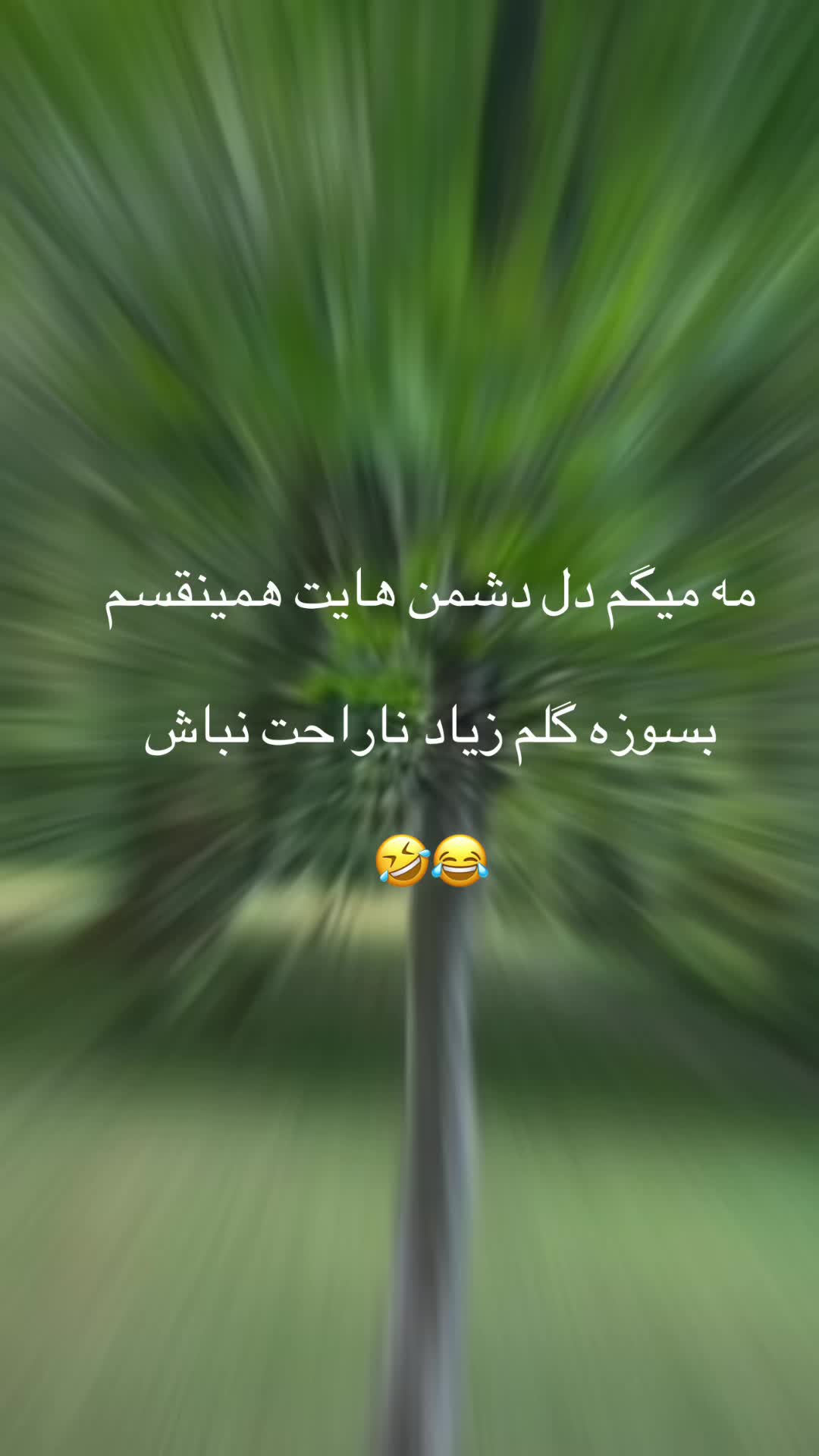 @Fatemabakhshi