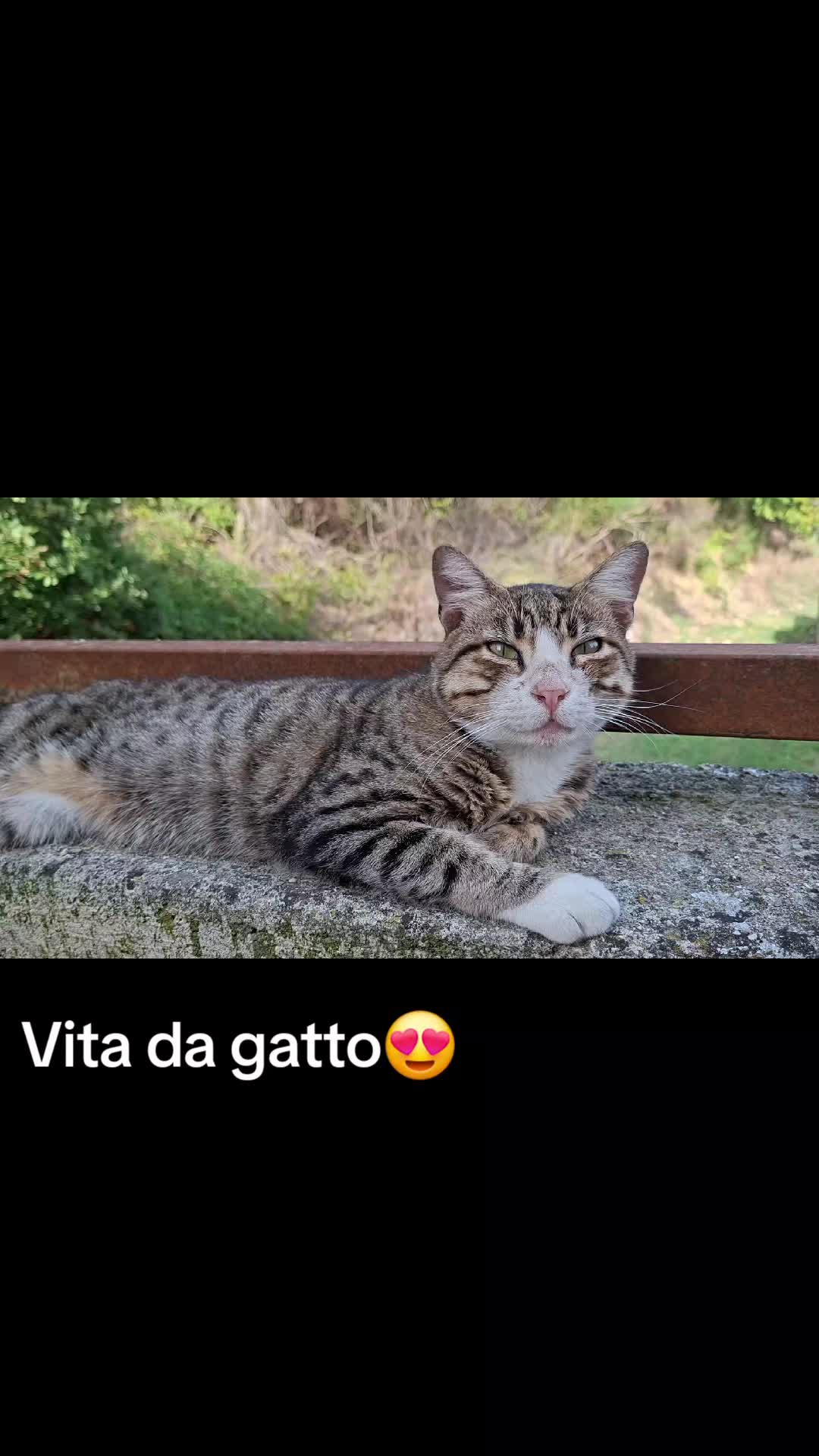 @Rosy73