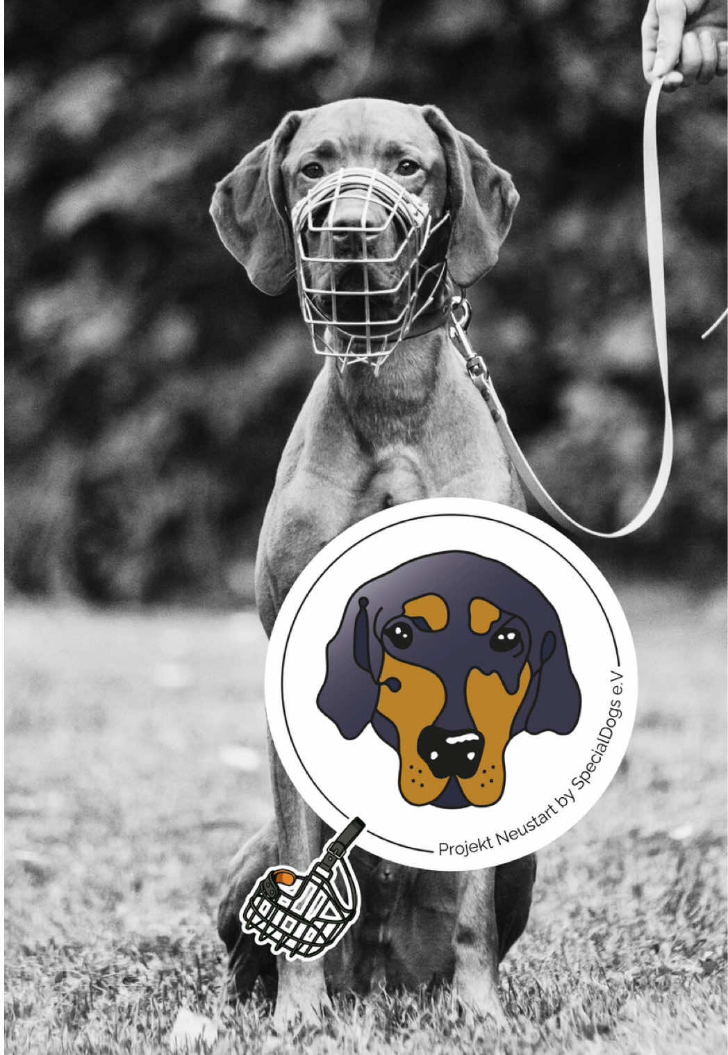 @SpecialDogs e.V.