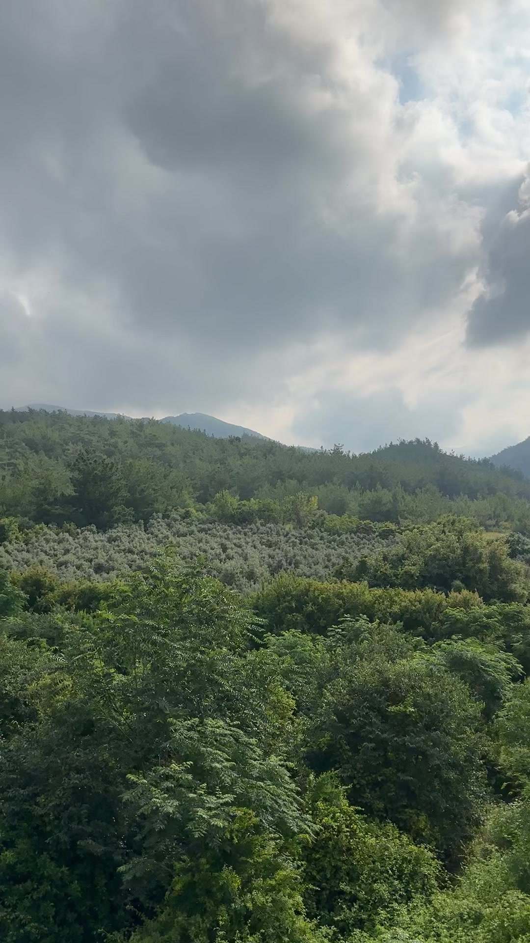 @𝗠.𝗬