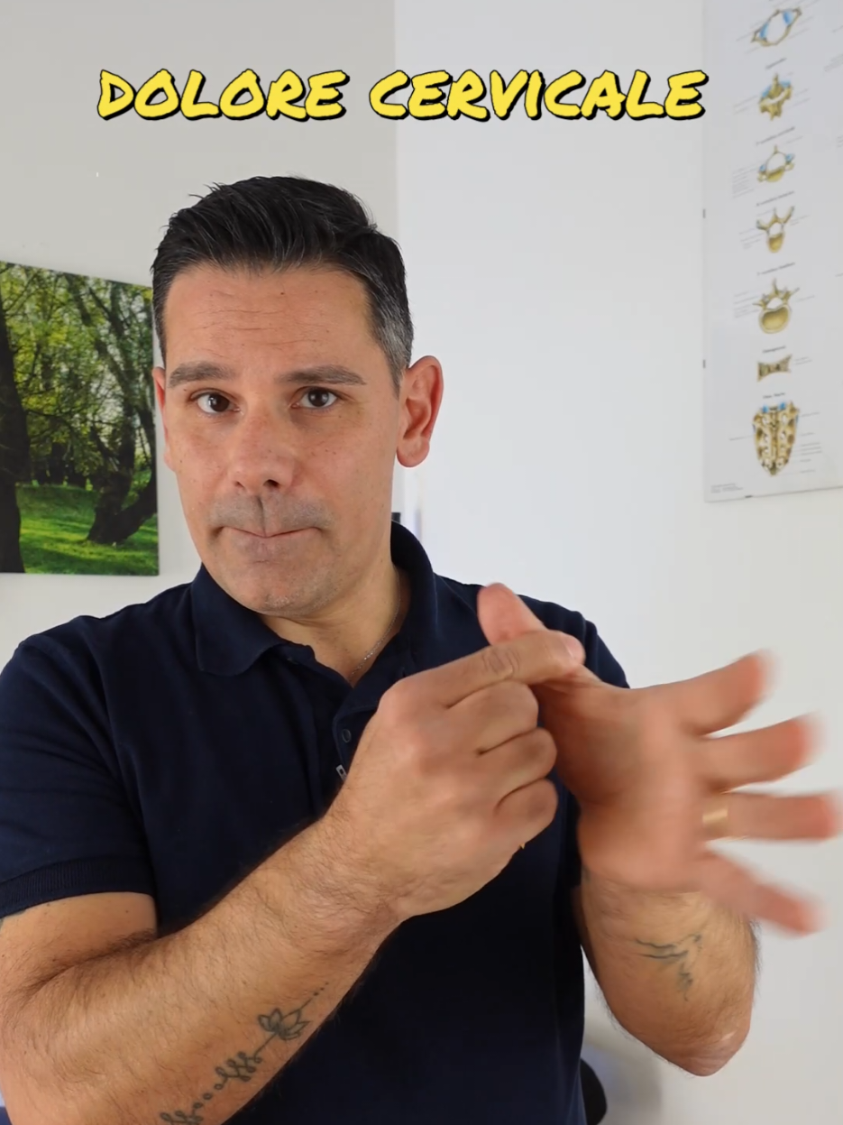@Dr. Bruno Maria Camerani