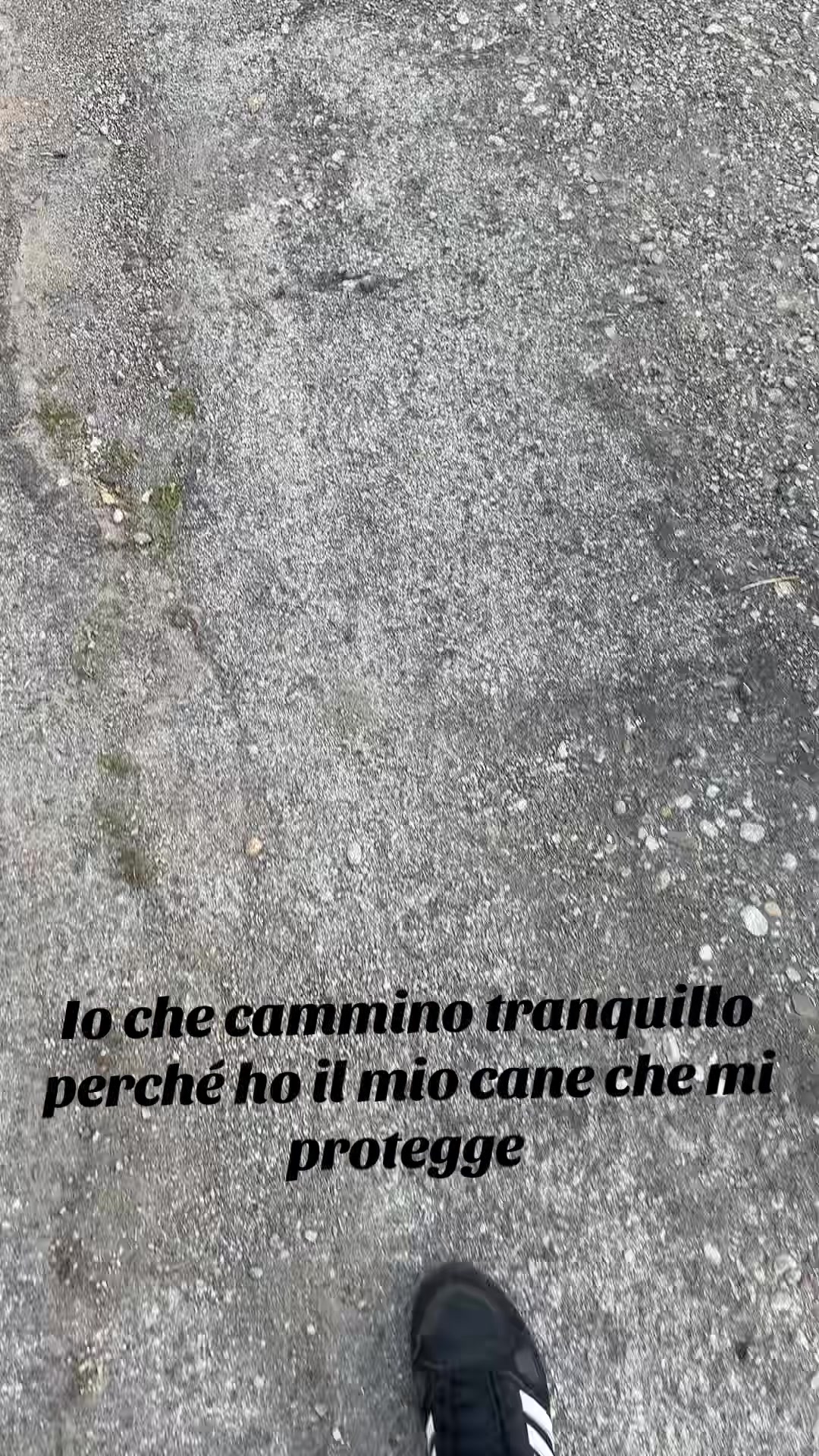 @Stefano