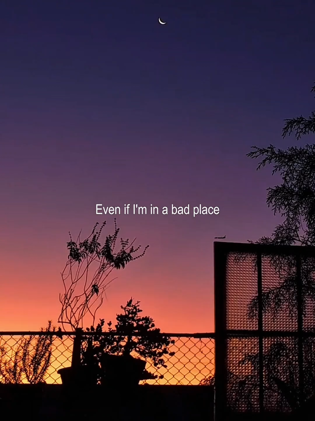 @Hex