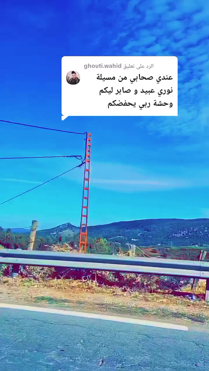 @نوارة 41