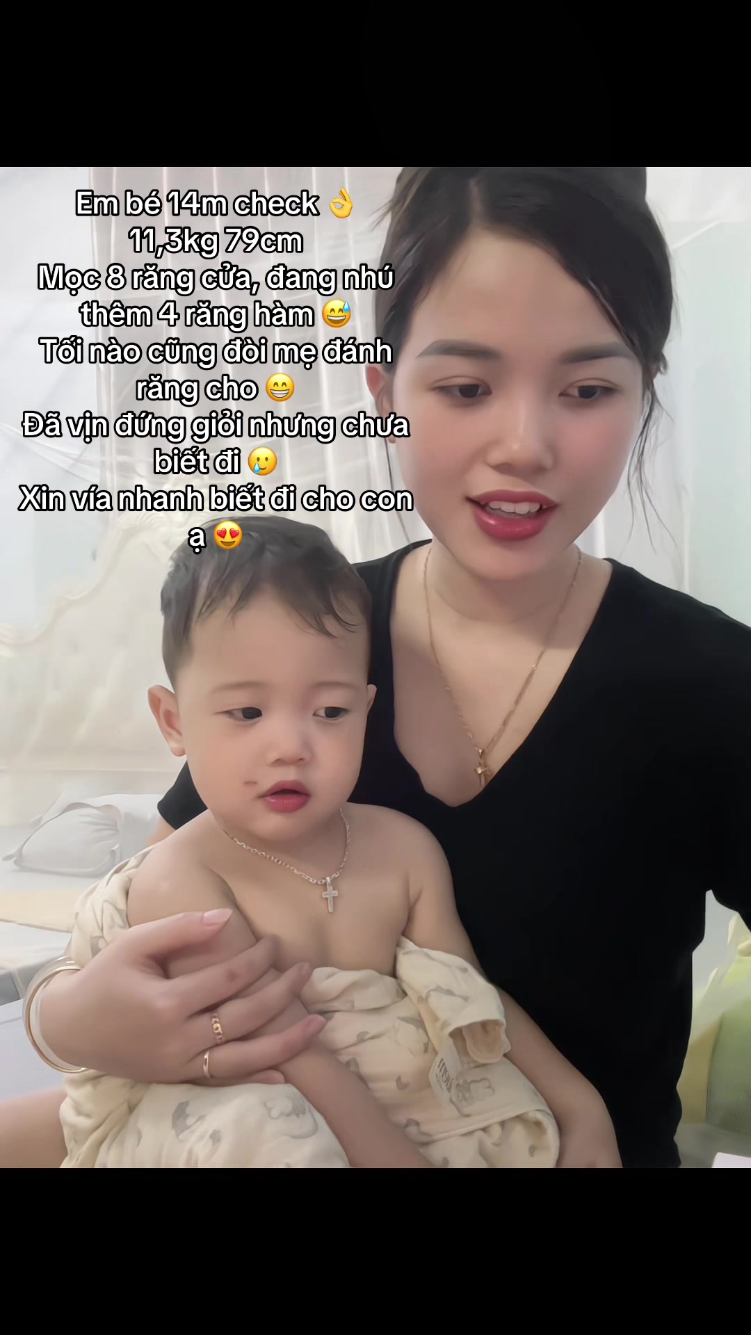 @Cá Heo Cá Voi