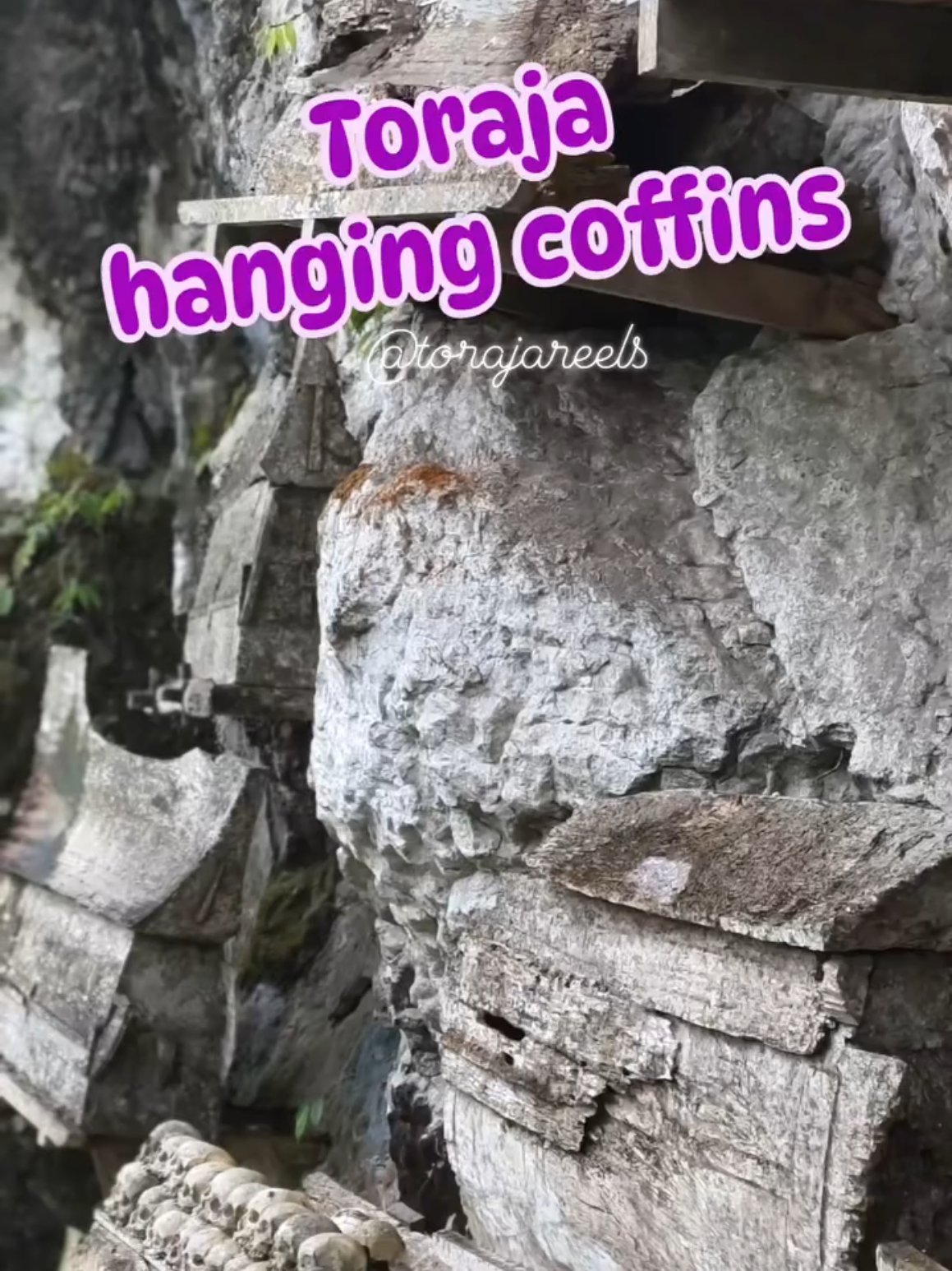 @Toraja Reels